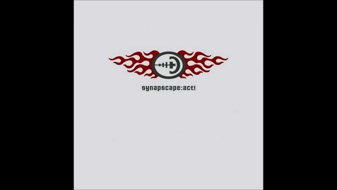 Synapscape - The Hoe