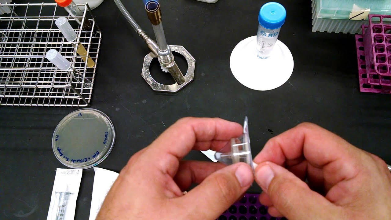 BIOL302L Syringe Filtration