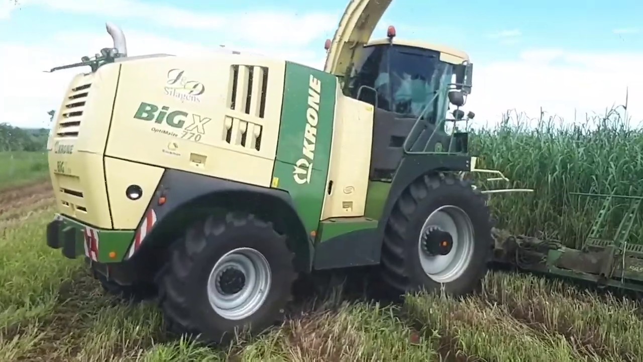 Fazenda Sonho Real - Corte de silagem verão 2020. Milheto ADRF 6010