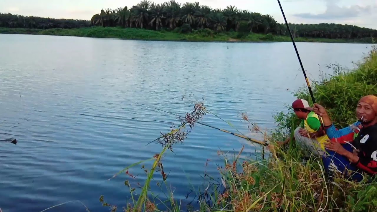 MANCING LIAR TERNGAKAK BARENG TEMAN TEMAN