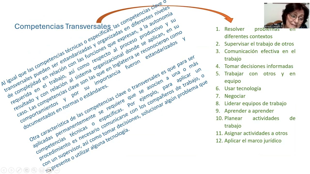Competencias Transversales. V3rtice 180326