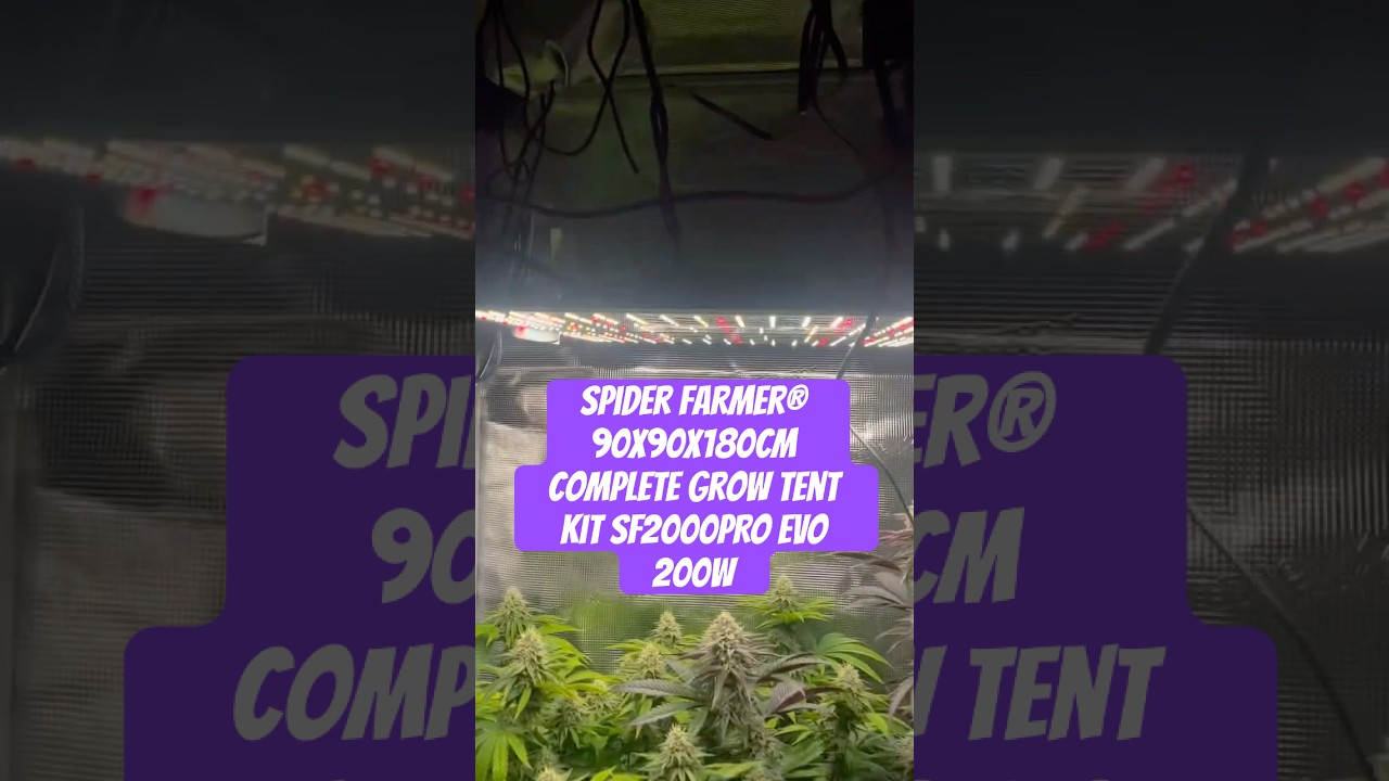 Spider Farmer&reg; 90X90X180cm Complete Grow Tent Kit SF2000PRO EVO 200W  #crazybud #420 #growled
