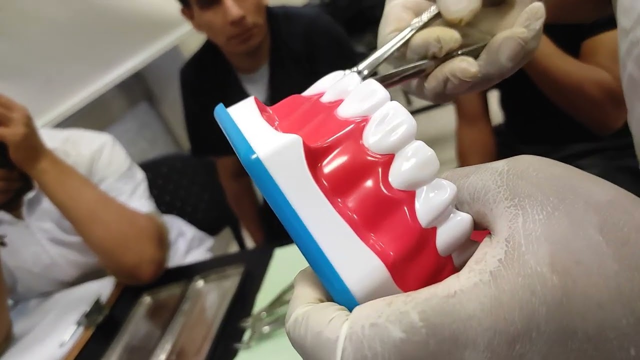 Reconocimiento de Forcep  para exodoncia