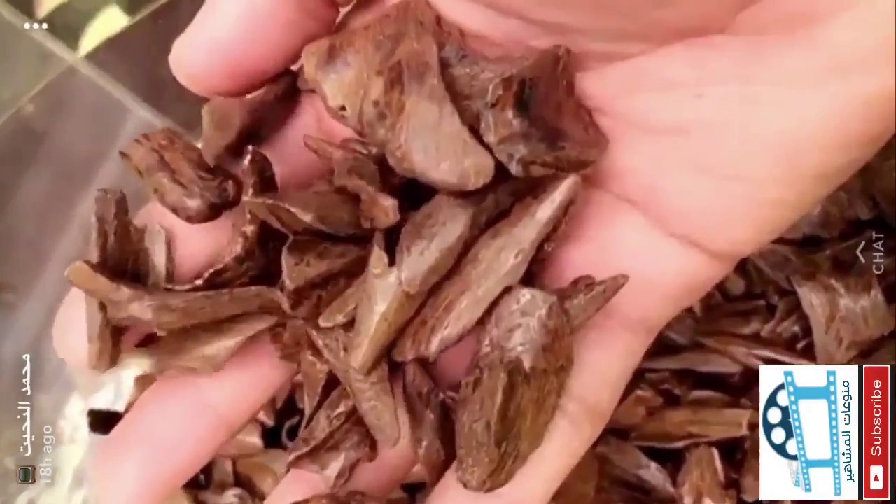 ادخل شوف عطر الملك سلمان😳 والملك عبدالله والملك فهد