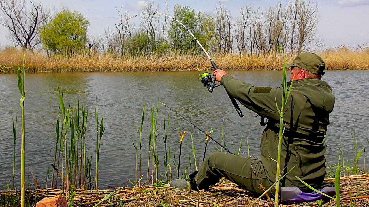 ЗАКИНУЛ УДОЧКУ ПОД КУСТ И...!!! ВОТ ЭТО РЫБАЛКА!!!