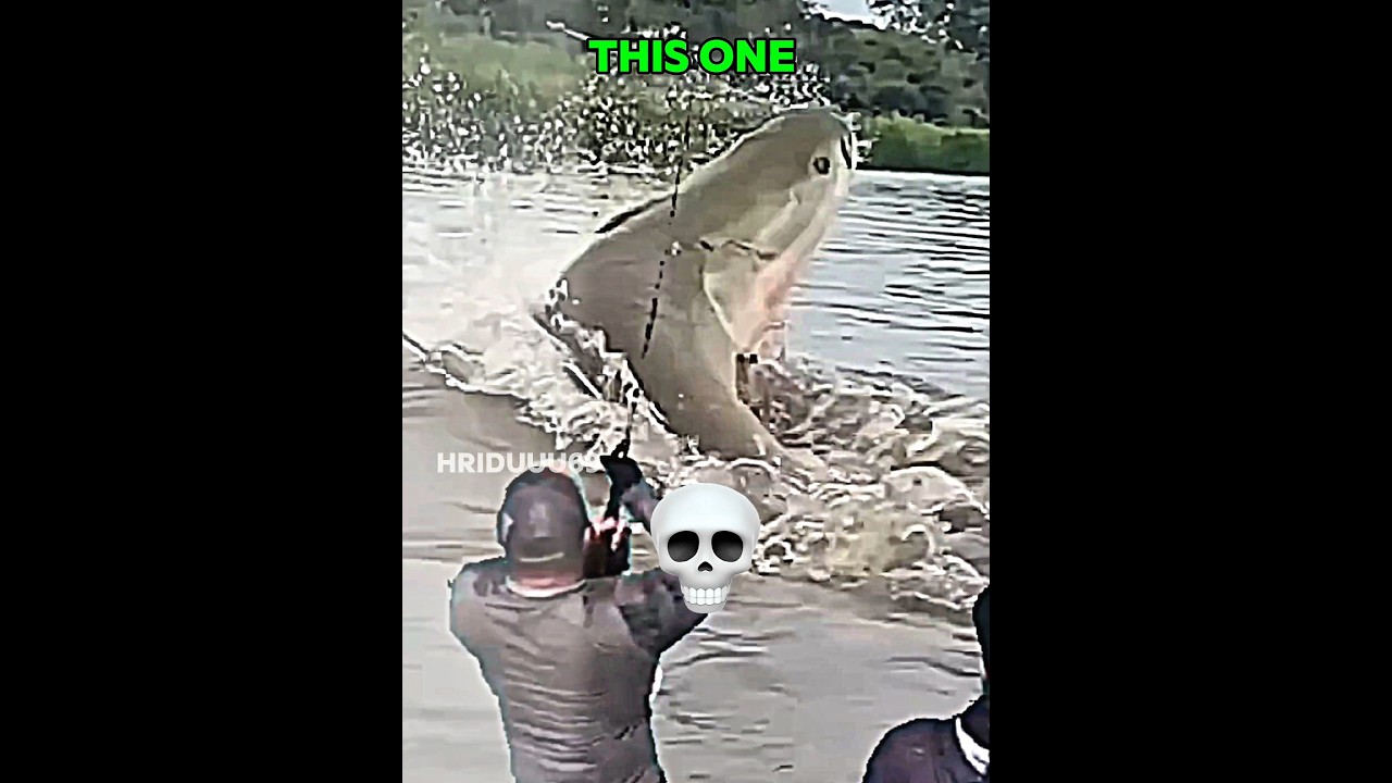 Inne wędkowanie kontra to ☠️ | #edit​ #trollface​ #fyp​ #usa​ #newyork​