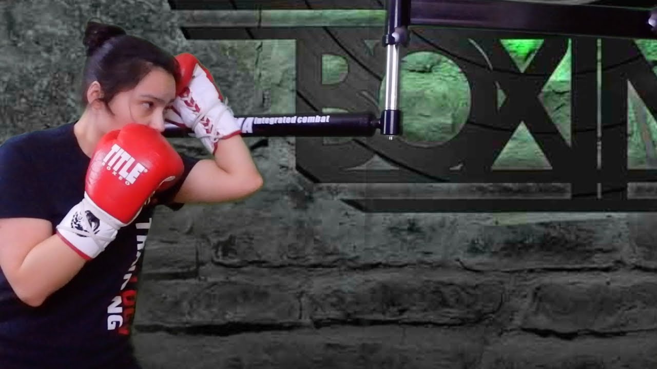 Innolife Boxing / MMA Integrated Combat Training Bar (WallMount) | Review