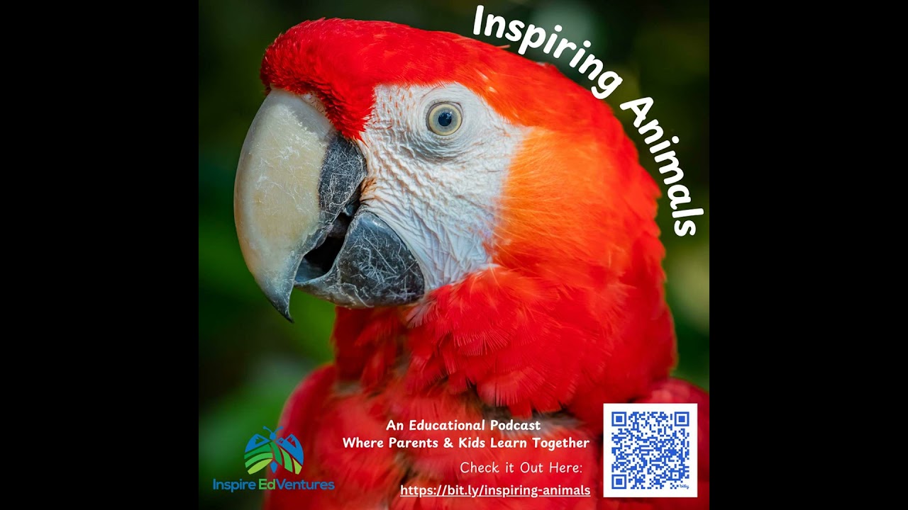 Inspiring Animals - Scarlet Macaws