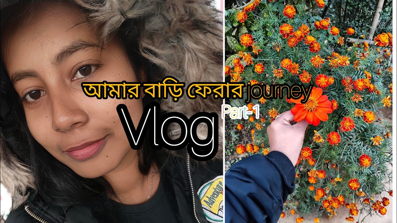 আমার বাড়ি ফেরার সময় কি কি করলাম//vlog//part -1🚊