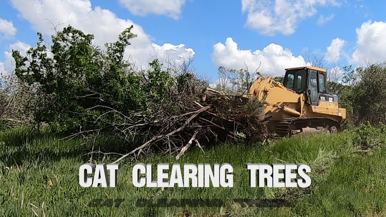 Fence Line Clearing Job CAT 973C Track Loader Part 2