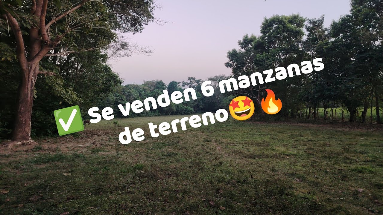 ✅ Se venden 6 hermosas manzanas de terreno🤩🔥 en aldea el jabali🔥🇬🇹