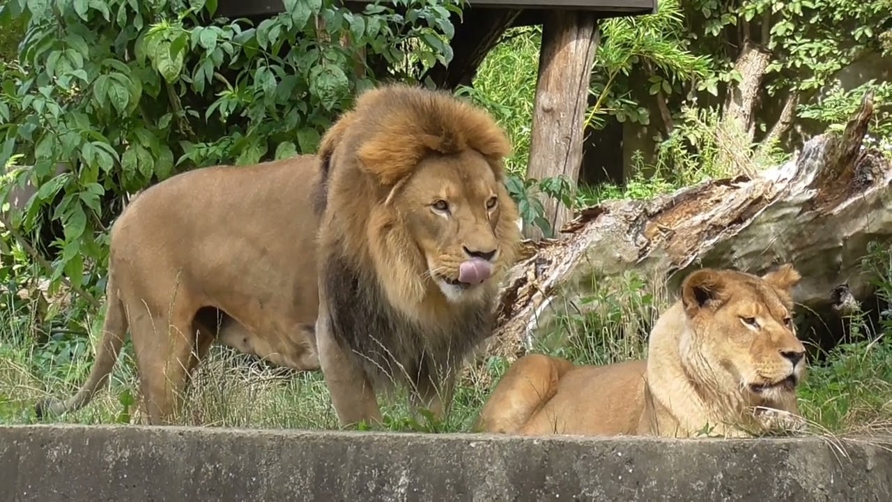 ZOO WARSZAWA
