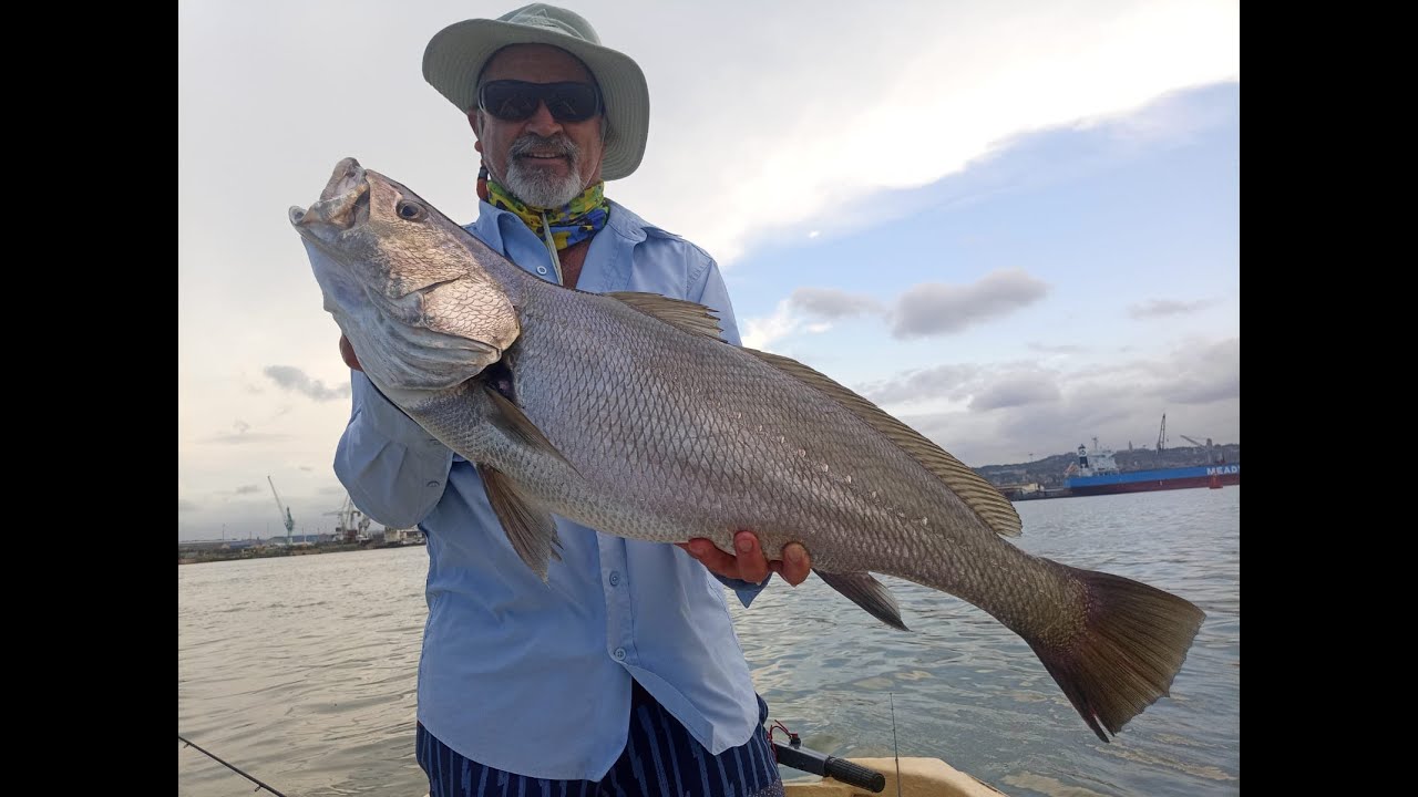 KOB'ZILLA at Durban Harbour