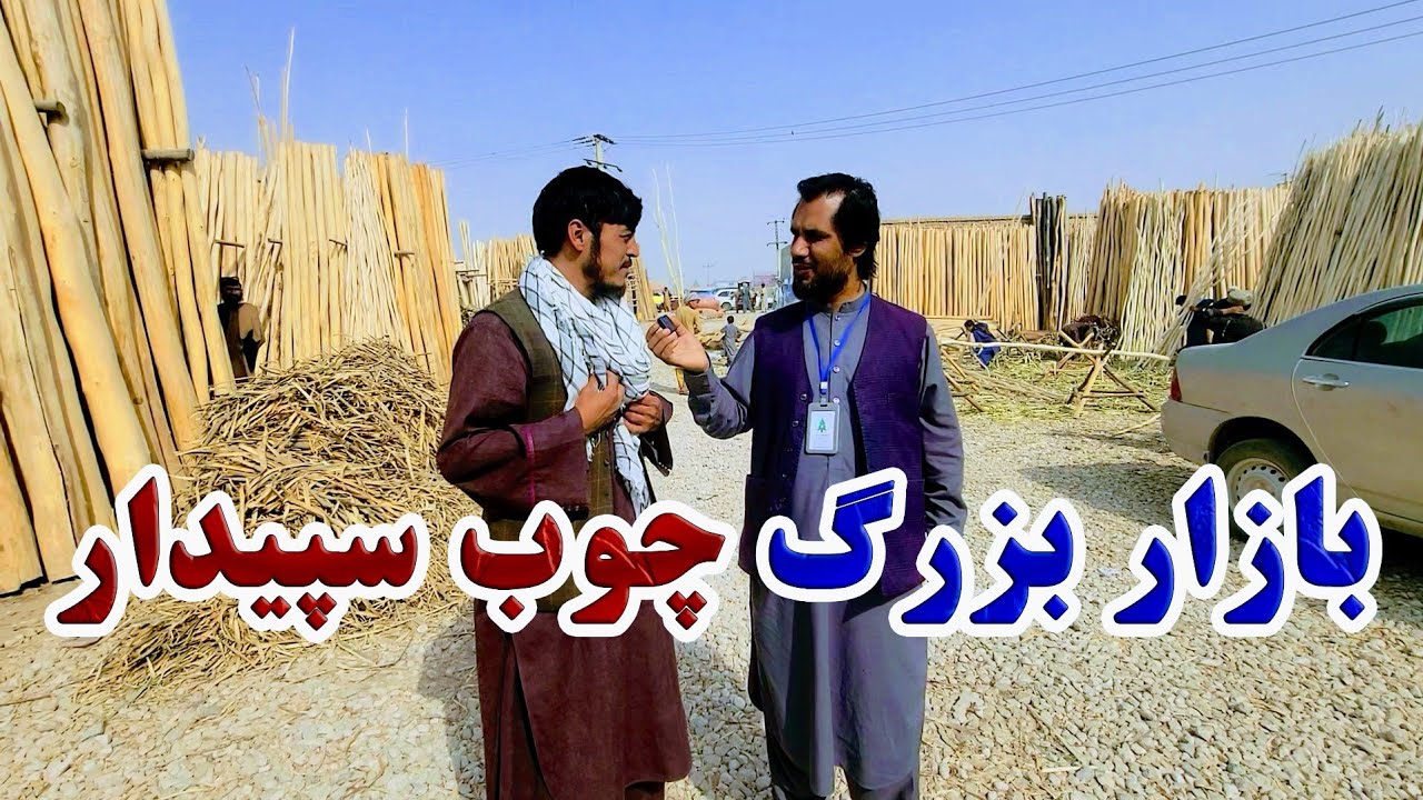 گزارش کاج از بازار چوب های نوع  سپیدار و جریان آماده شدن آن برای فروش توسط کارگران|خانه,برنده
