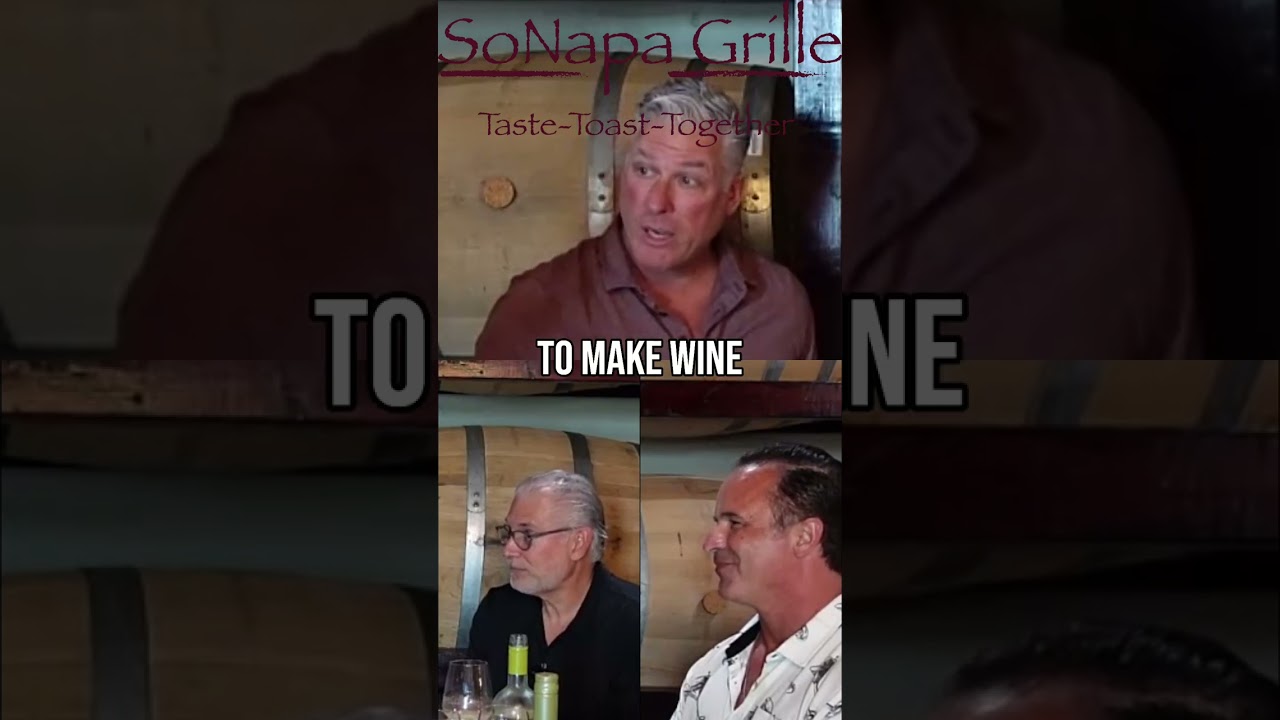 Transforming Wine Culture: Making Wine More Approachable One Glass at a Time