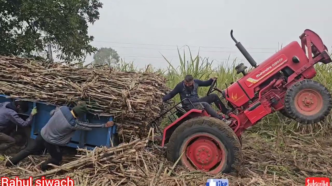 आज खेत में बुरी तरह फंस गई। गन्ने की ट्राली अकेले ट्रैक्टर से ही निकाली लगाई गई नई तकनीक