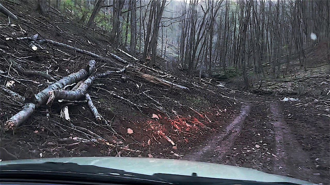 The Ugly Face Of Logging - Autumn's Property - Appalachia - Easter Day 2019