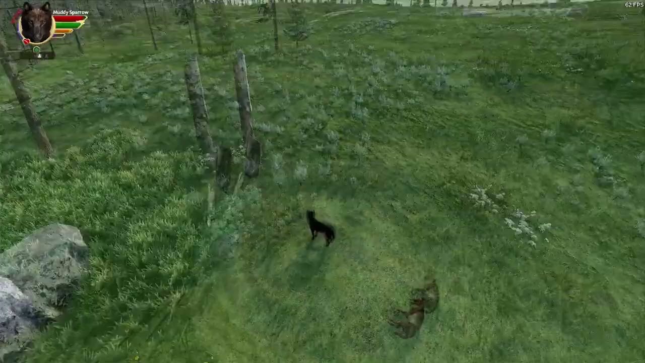 Plains Pack Episode 7