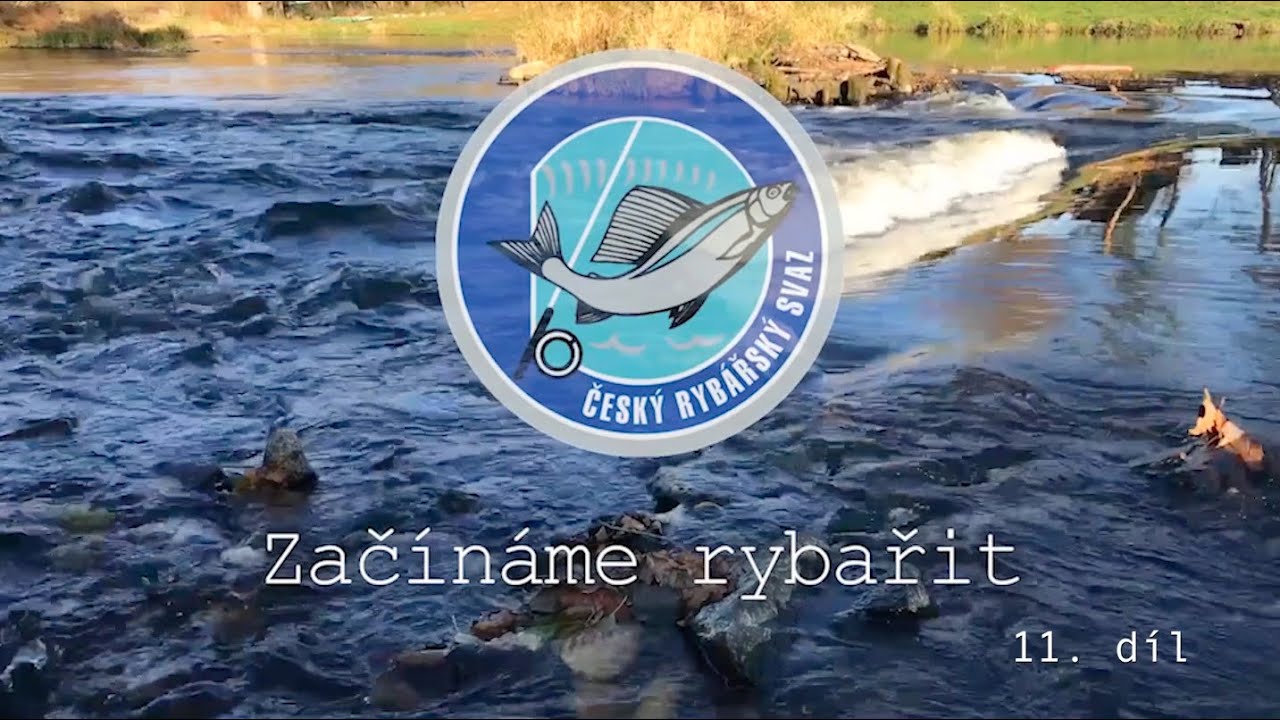 Začínáme rybařit 11. díl - Vyplnění sumáře úlovků a docházek