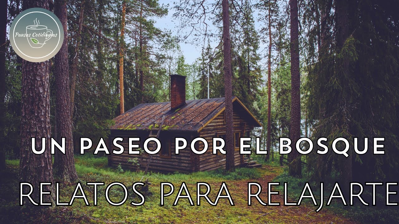 Un paseo por el bosque desde la cabaña de madera | Relato para relajarte