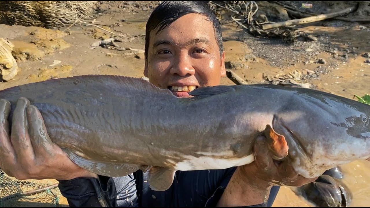 Bợ Cái Gối Ôm Một Cái Đã Cái Tay Gì Đâu Lâu Rồi Không Chạm Mặt Cá Bự | Cù Lao Dung Vlogs