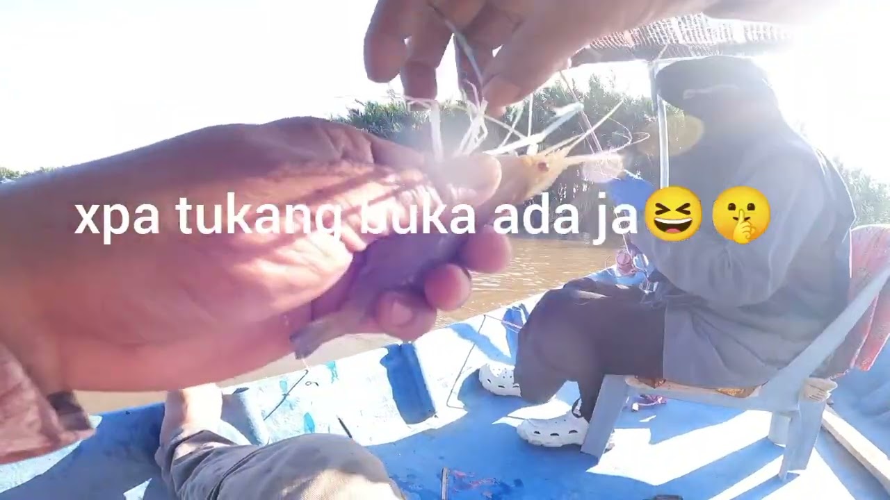GASAK PADU#UDANGGALAHSUNGAIKURAU#
