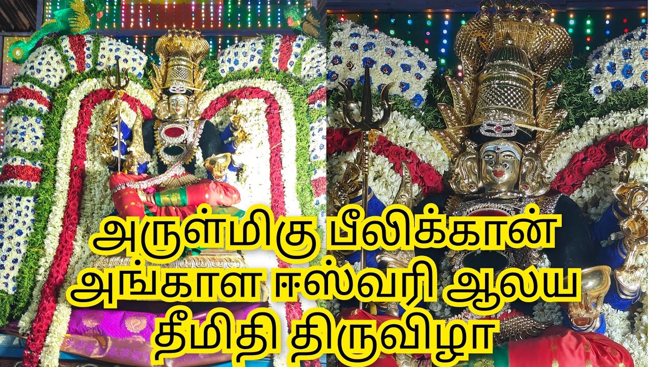 அருள்மிகு பீலிக்கான் அங்காள ஈஸ்வரி ஆலய தீமிதி திருவிழா || Peelikan Munishwarar temple vyasarpadi