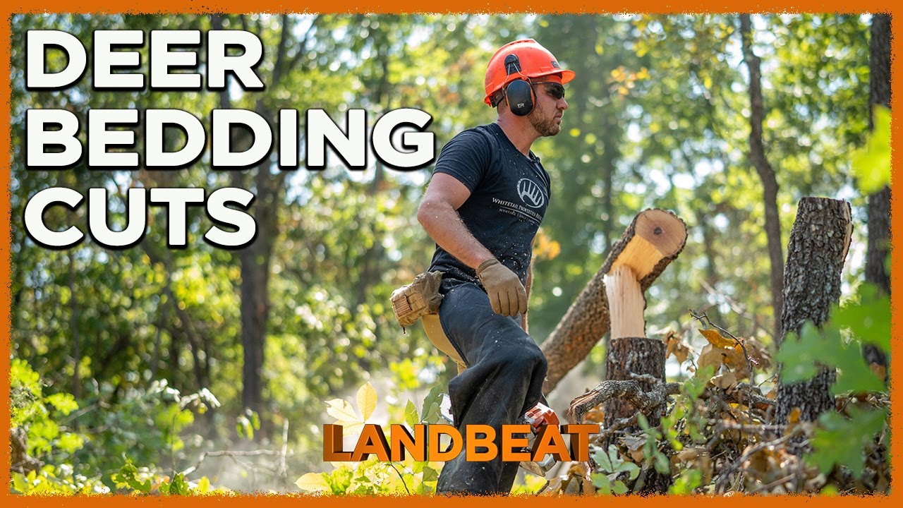 28 minute Deer Bedding Cut | Habitat Management