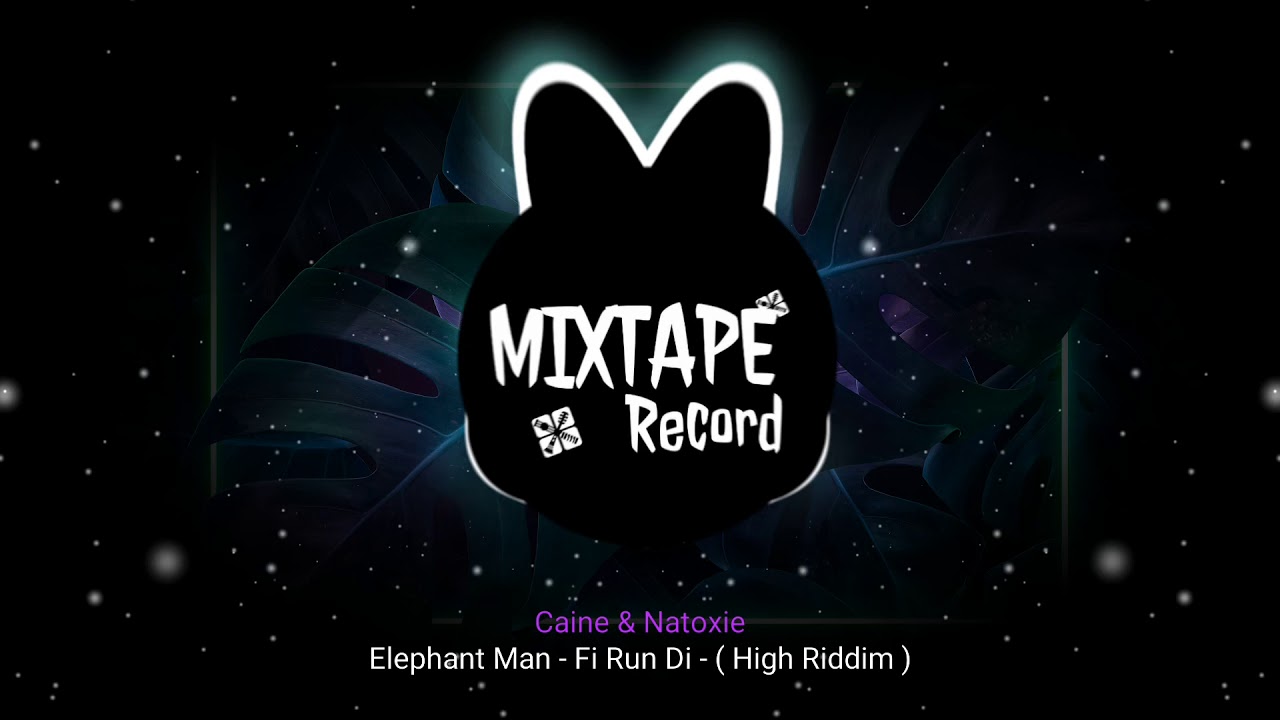 Caine & Natoxie - Elephant Man - Fi Run Di - ( High Riddim )