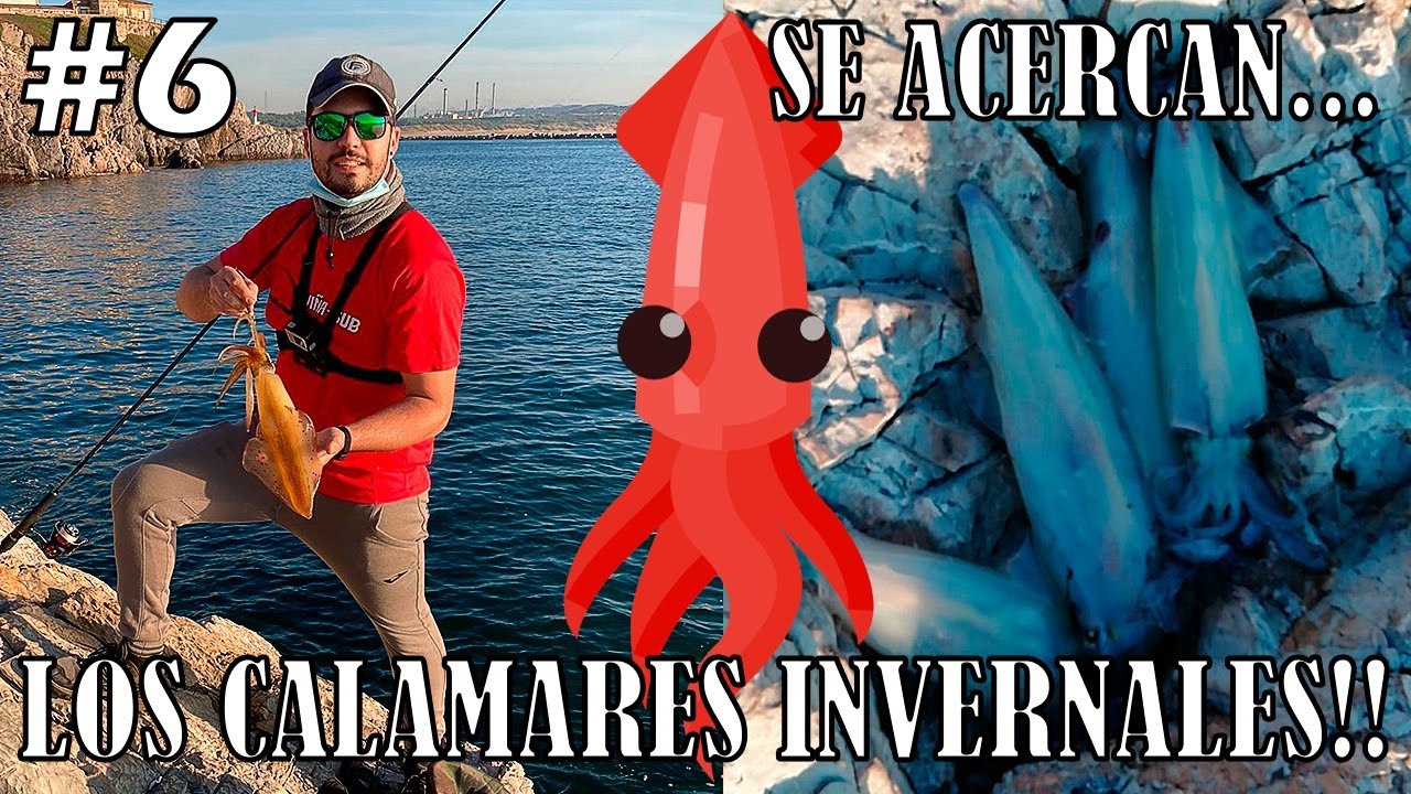 ❎ EGING desde COSTA ❎ 🦑Jornada llena de CALAMARES🦑 ASTURIAS#6