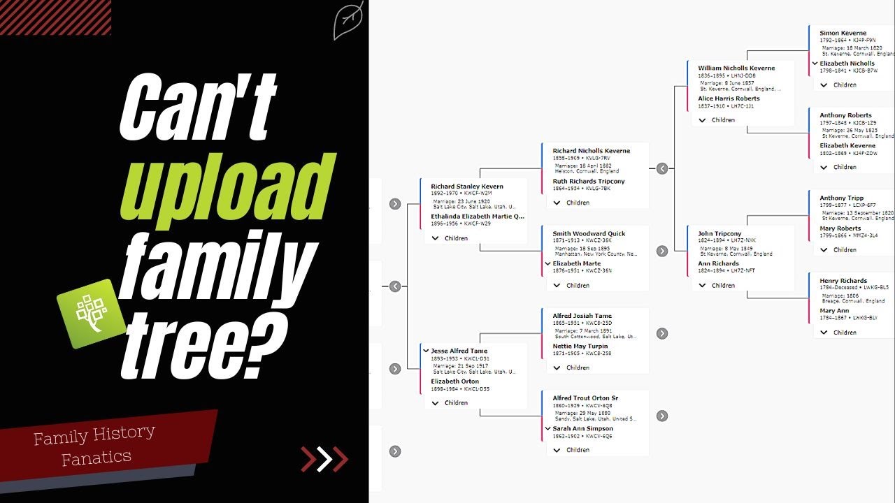 Проблемы с добавлением генеалогического древа в FamilySearch? НЕТ ЗАГРУЗКИ В GEDCOM