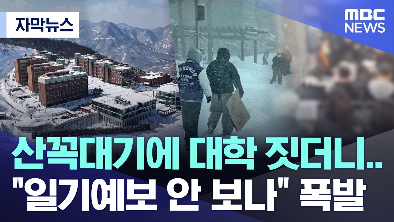 [자막뉴스] 산꼭대기에 대학 짓더니..