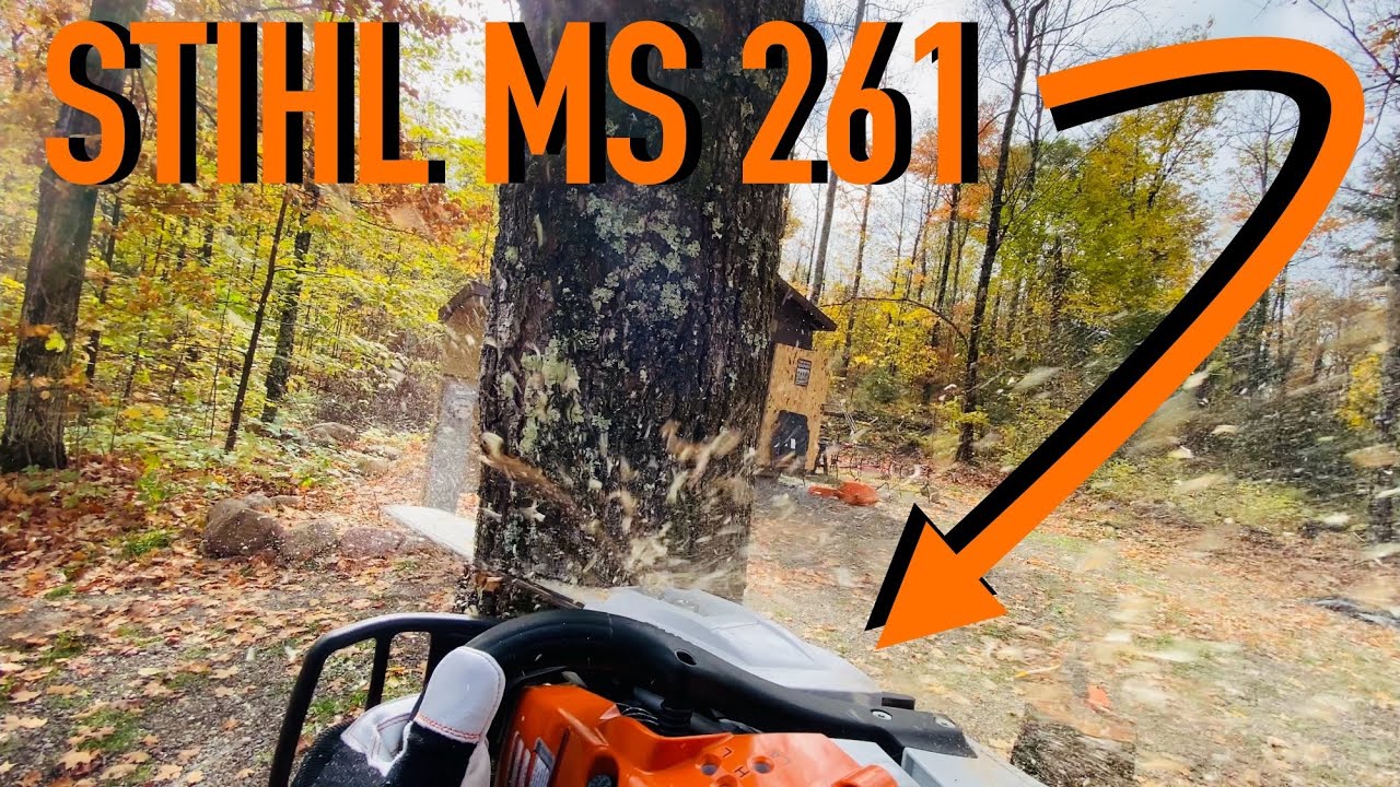 STIHL MS 261 | Заготовка дров | Удаление деревьев | Бензопила