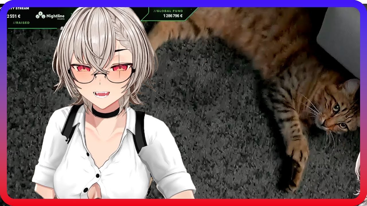 Unexpected Guest: Another Stray Cat Appears!! - Saruei