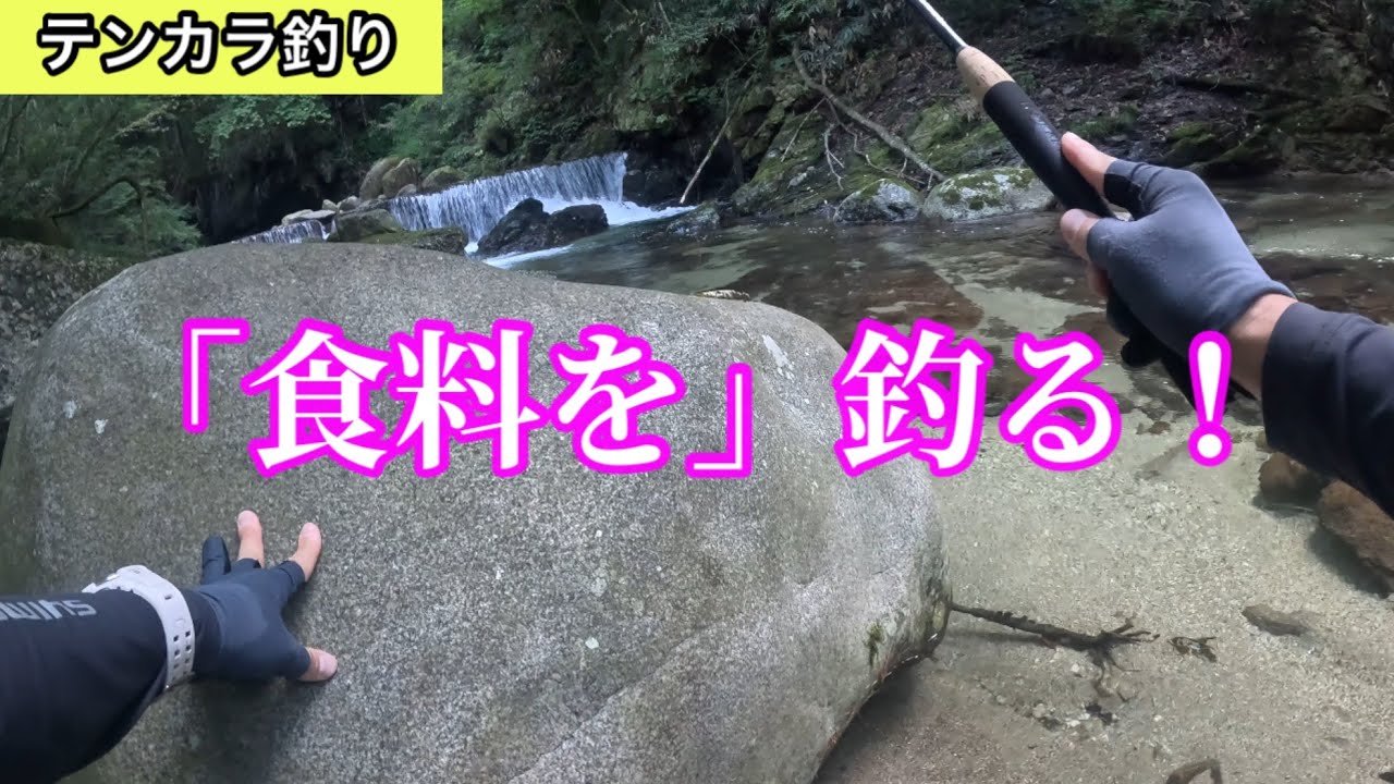 【テンカラ釣行】囲炉裏の魚を釣りに行く！