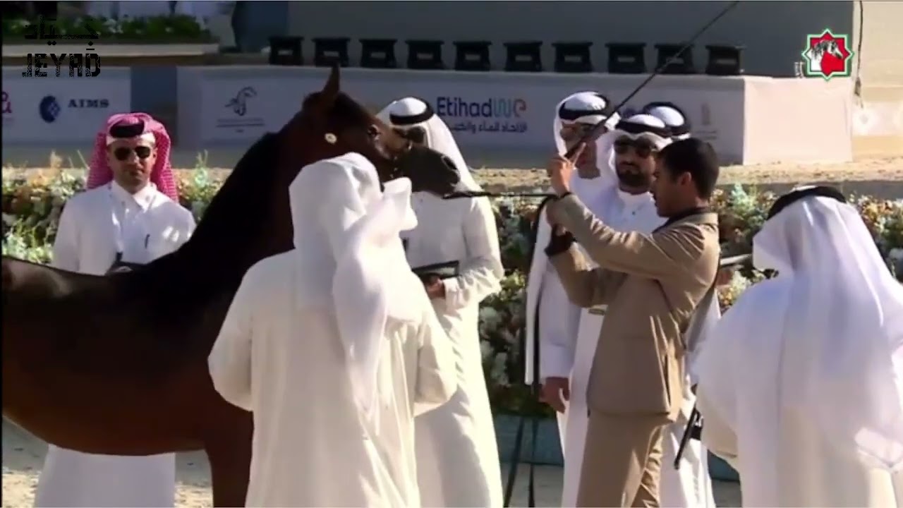 SHAHAD ALMAZYOONA