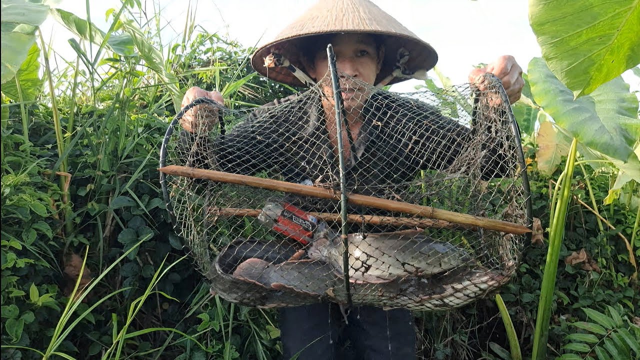 Trúng Mánh Cái Lờ Thứ 7 