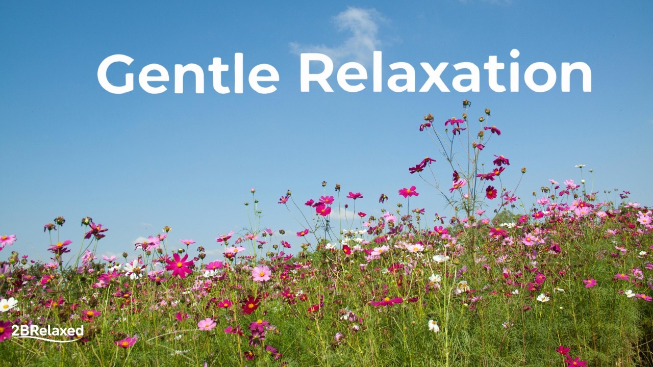 Gentle Relaxing Music for Peaceful Moments