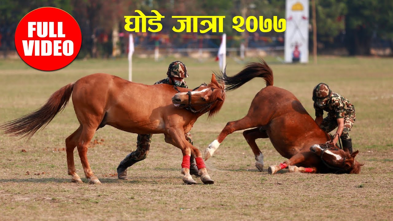 घोडे जात्रा २०७७ को आकर्षण: राष्ट्रपति सहित प्रधानमन्त्री ओलीको अवलोकन | Ghode Jatra 2077 Full Video