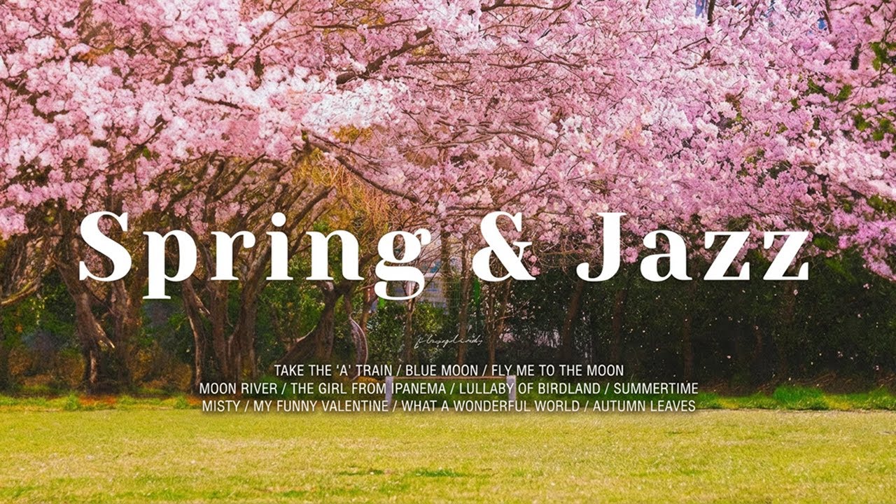 Playlist l 🌸 벚꽃을 기다리며 듣는 재즈ㅣSpringtime Street & Smooth Jazz Music for Work, Study, Focus