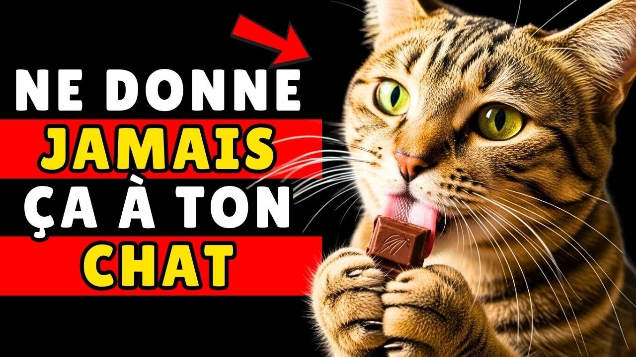 Attention ! Ces 15 Aliments Peuvent Nuire à Votre Chat