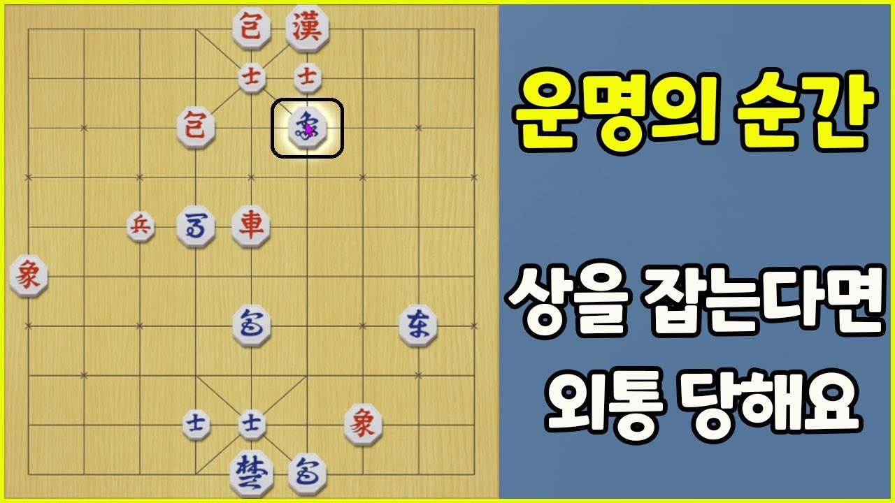 상을 잡으면 외통 당한다고요??? (슈이비닝 장기)