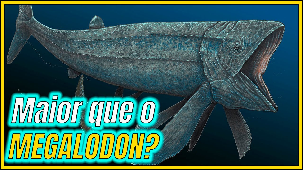 TUDO sobre o LEEDSICHTHYS: o maior peixe &oacute;sseo da hist&oacute;ria do planeta