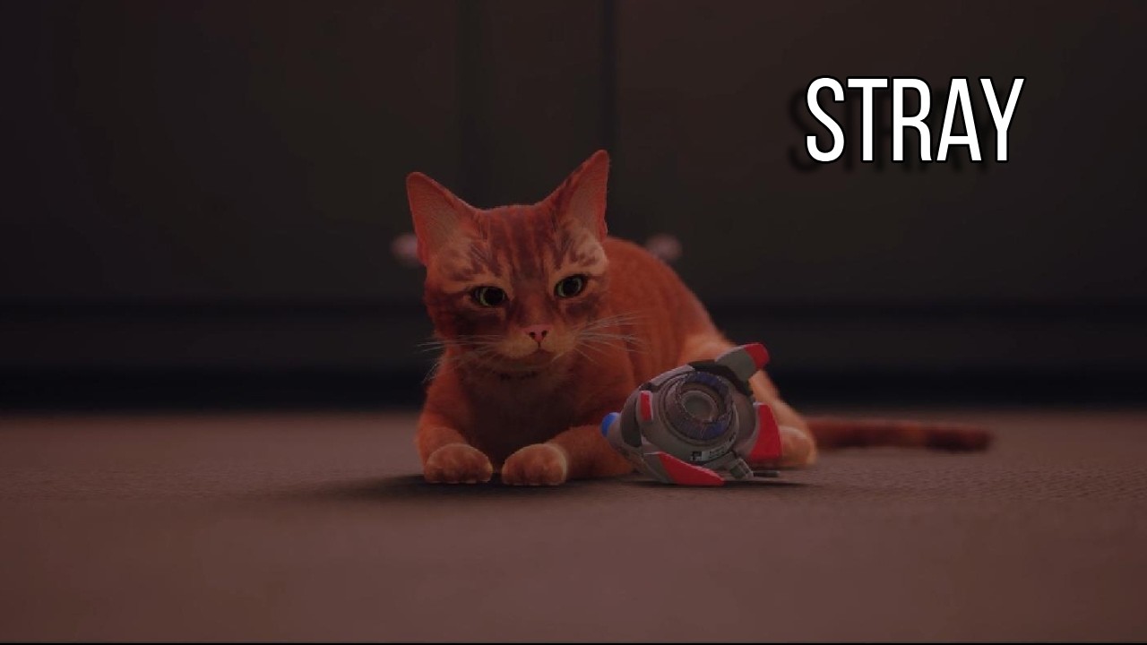 Stray | Longplay | No Commentary | PS5