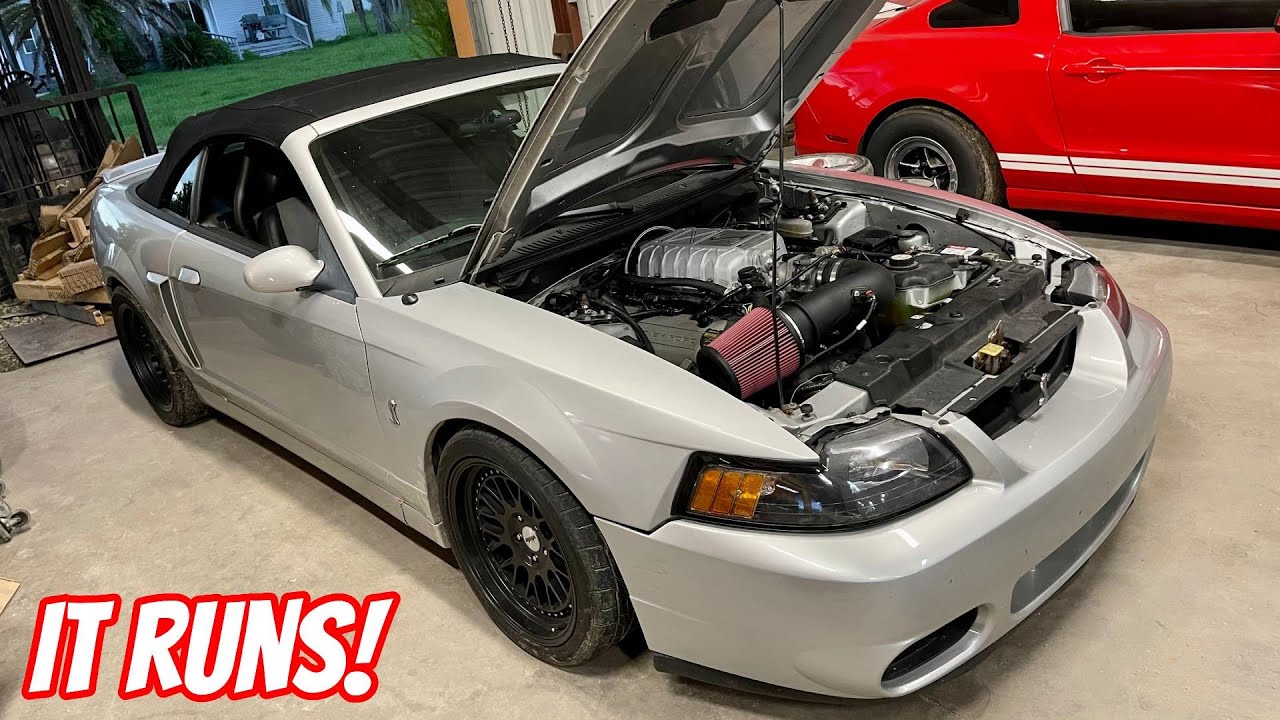 World's First 2020 GT500 Swapped Terminator Cobra
