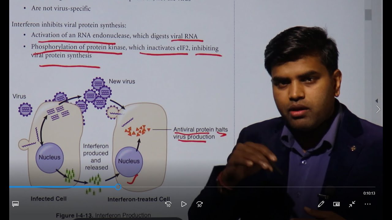 Interferons.. Immunology Kaplan USMLE Microbiology Chapter 4