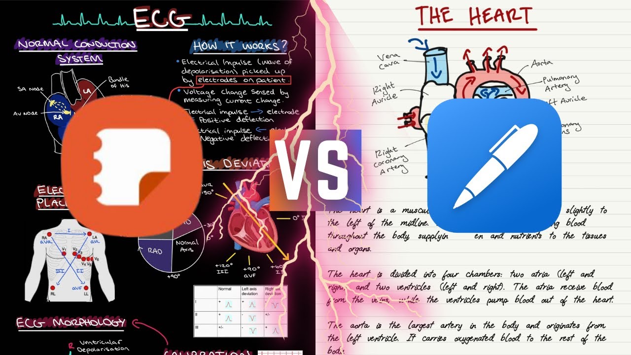 Samsung Notes против Noteshelf | Сравнение возможностей заметок на Samsung Tab S7+