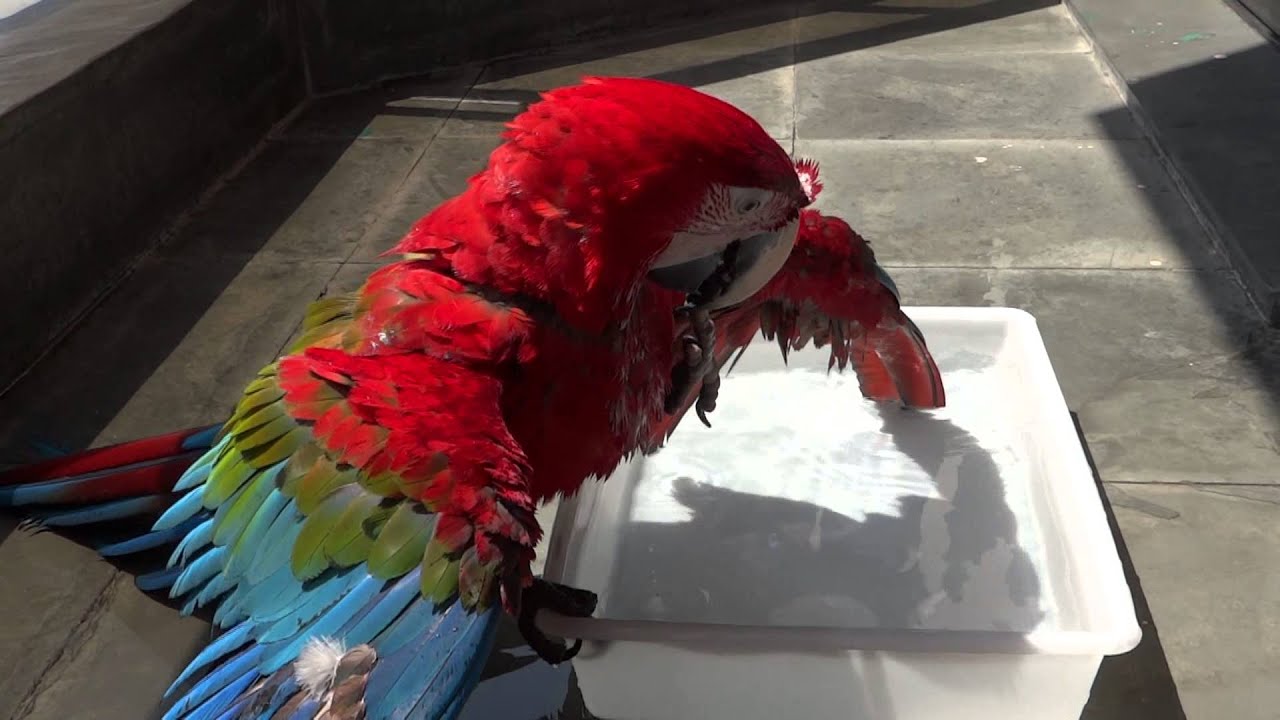 MARIA BRINCANDO NA AGUA