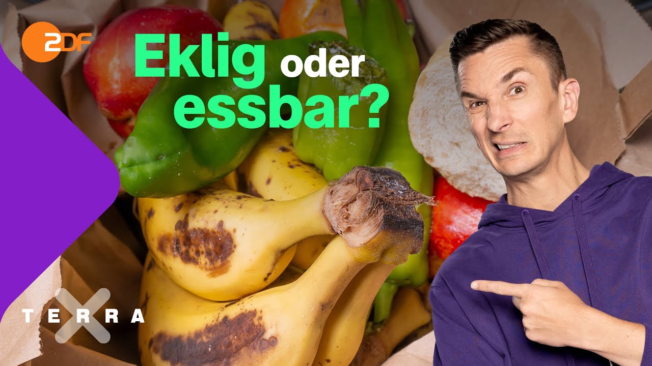 Wie Containern Lebensmittel rettet | Terra X plus