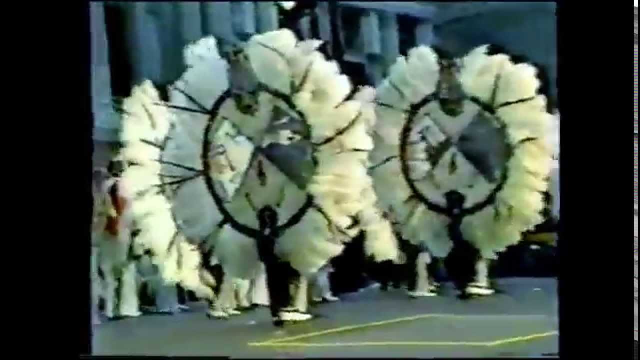 1980 Hegeman String Band 